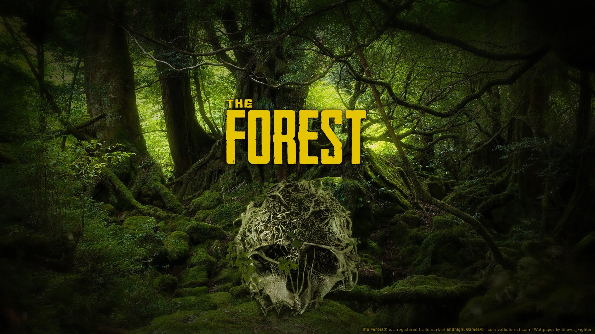 “The Forest”: Navigating Horror and Survival in a Mysterious Wilderness